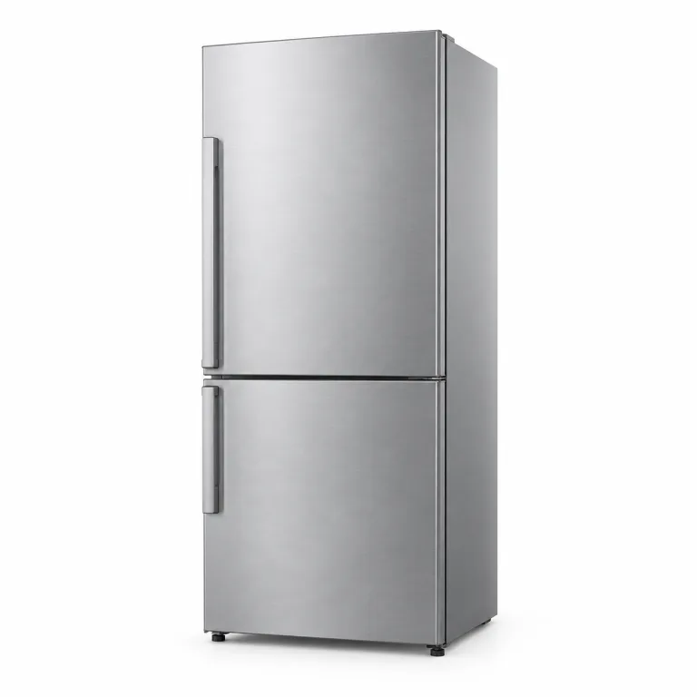 Illustration of a refrigerator with a bottom freezer